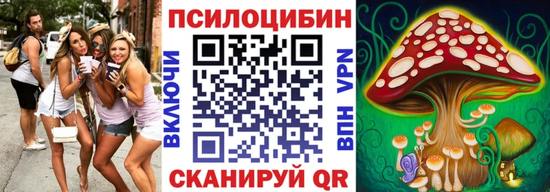 где можно купить МЕГА ONION darknet телеграм Гатчина Псилоцибиновые грибы GOLDEN TEACHER