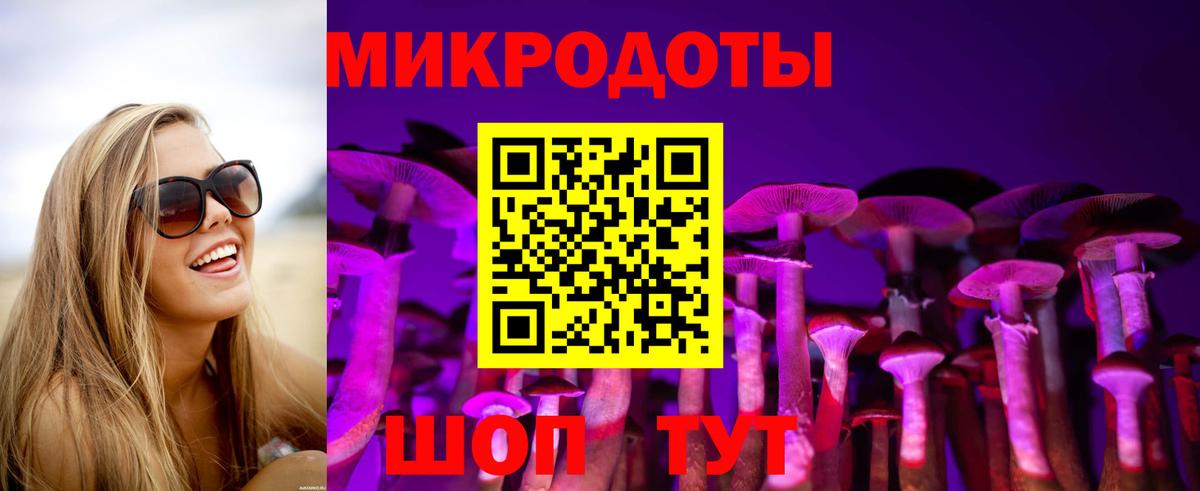 Псилоцибиновые грибы мицелий  дарнет шоп  Вход с VPN  Гатчина  Псилоцибиновые грибы Magic Shrooms 