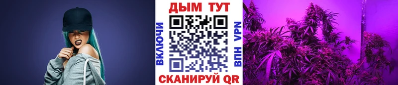 Шишки марихуана индика Гатчина